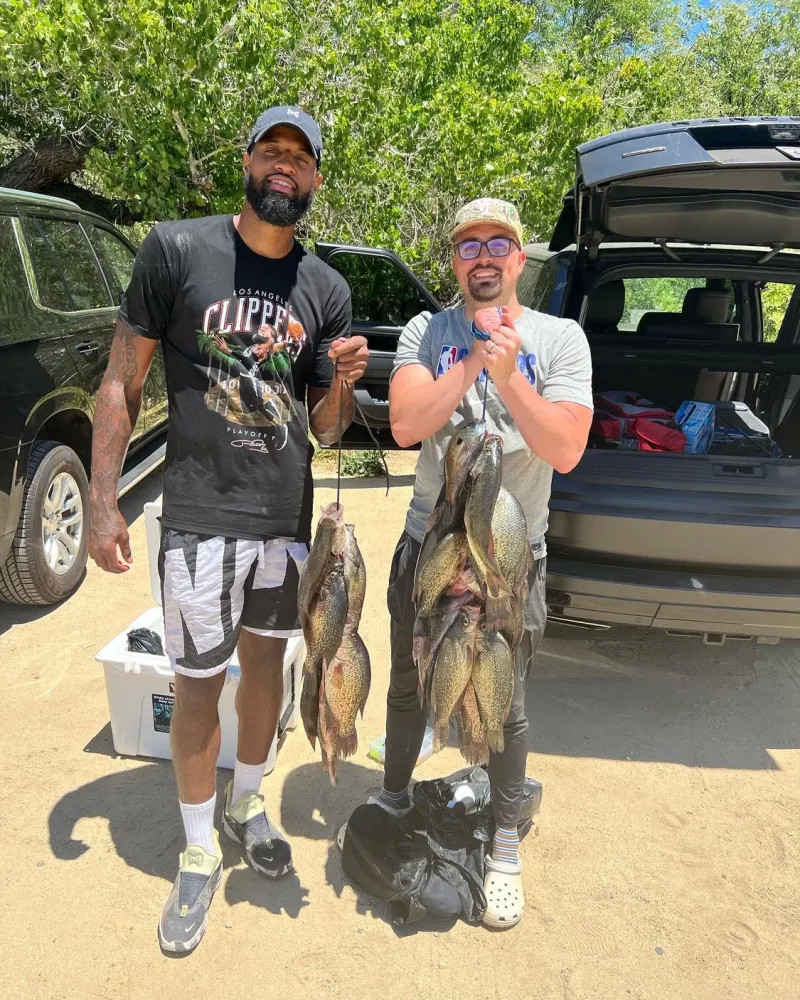 解成另一种 解成另一种