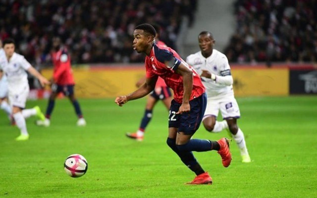 荷兰足球拥 荷兰足球拥