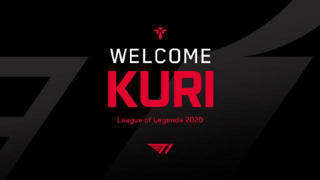 不少业内人 不少业内人